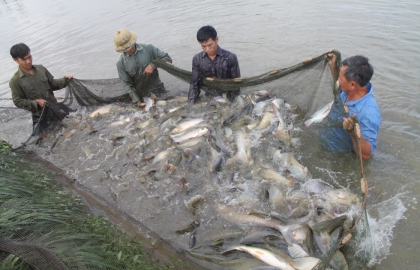 Bàng hoàng phát hiện lý do người Hà Nội hay bị thần kinh, ung thư, suy thận, vô sinh, sẩy thai