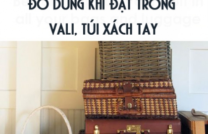 14 Mẹo thu dọn đồ đạc nhất định phải biết trước khi chuyển nhà ai cũng cần biết