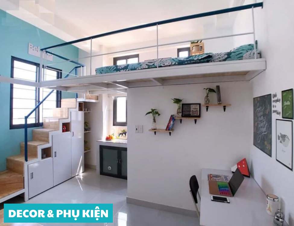 Decor & phụ kiện