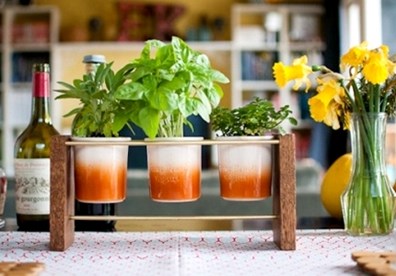 Tái chế những chiếc ống bơ thành những vật dụng hữu hiệu để trồng cây cảnh