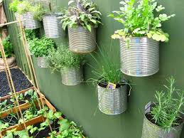 Tái chế những chiếc ống bơ thành những vật dụng hữu hiệu để trồng cây cảnh