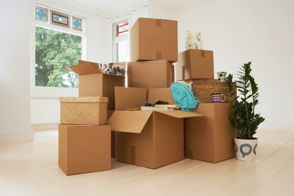 Chuyển văn phòng làm việc trước tiên hãy phân loại và đóng gói đồ đạc