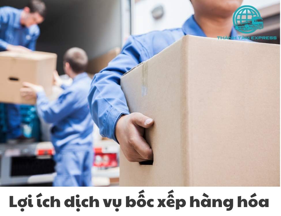 dịch vụ bốc xếp hàng hóa