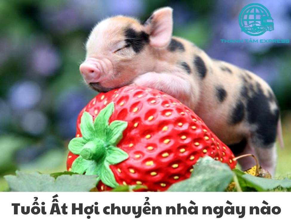 Tuổi Ất Hợi chuyển nhà ngày nào tốt 2024